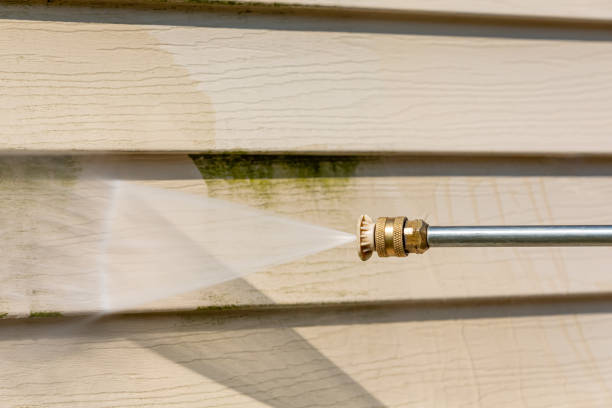 Best Roof Pressure Washing  in Potosi, MO