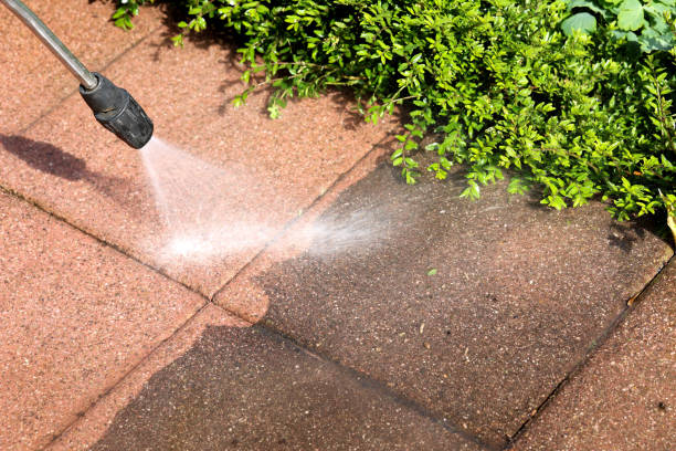 Best Roof Power Washing Services  in Potosi, MO